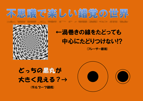 不思議で楽しい錯覚の世界 成田市立図書館